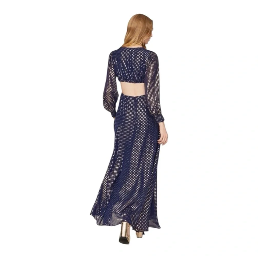DELFI Cerise Gown Maxi Dress Waist Cutout in Blue Gold Silk Chiffon Size Large - Picture 3 of 13